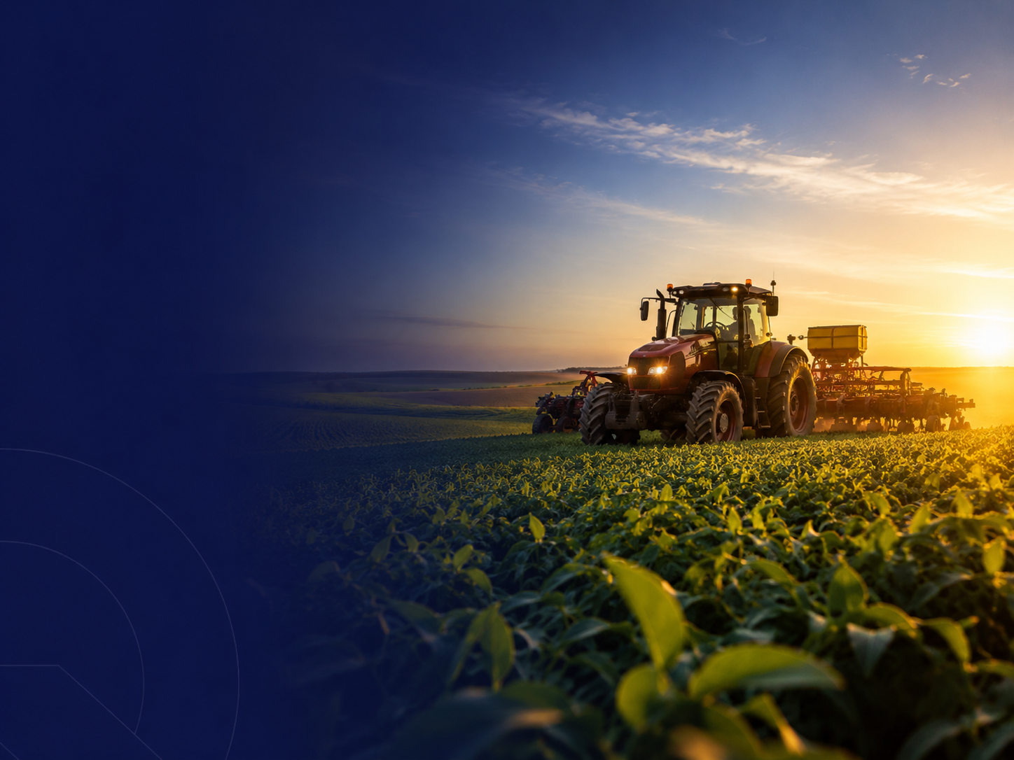 Campo agrícola ao entardecer